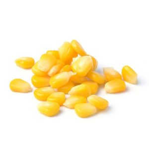 Corn kernel